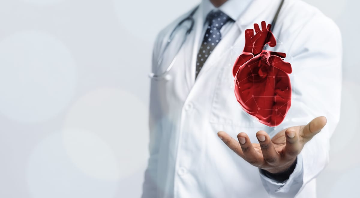 Cardiólogo sosteniendo una representación del corazón